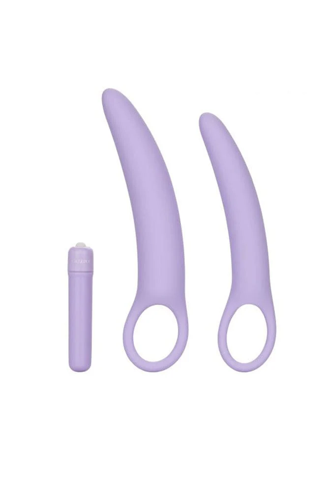 Cal Exotics - Dr. Laura Berman - Isabelle Dilator Set - Purple