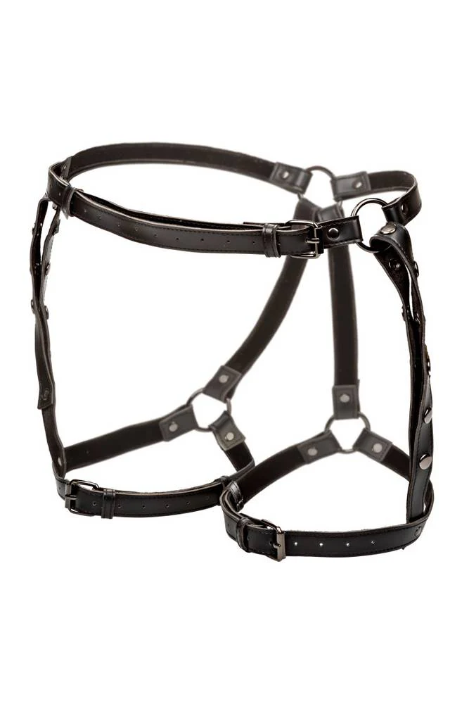 Cal Exotics - Euphoria Collection - Riding Thigh Harness - Plus Size - Black - Image 3