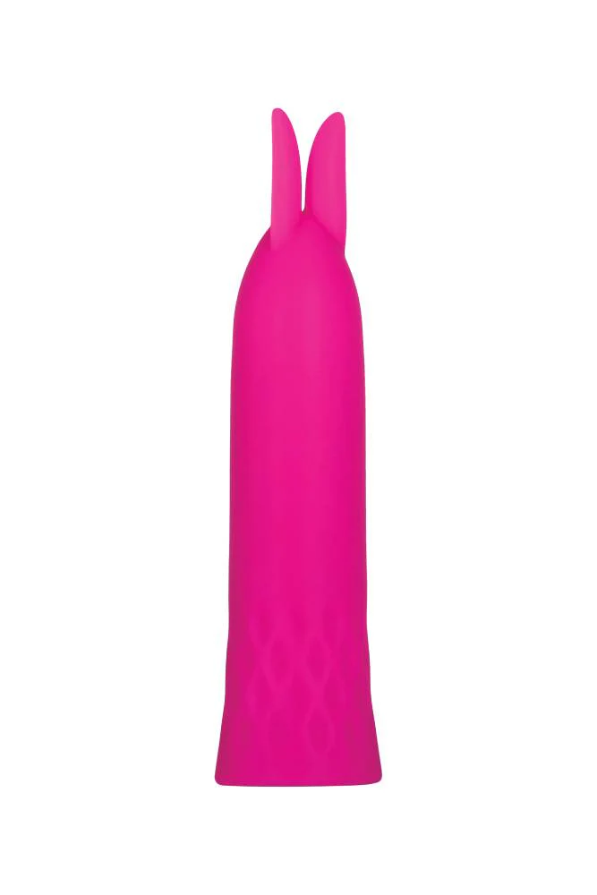 Evolved - Bunny Bullet - Image 3