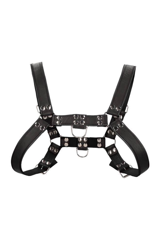 Ouch By Shots Toys - Bulldog Chest Harness - Black