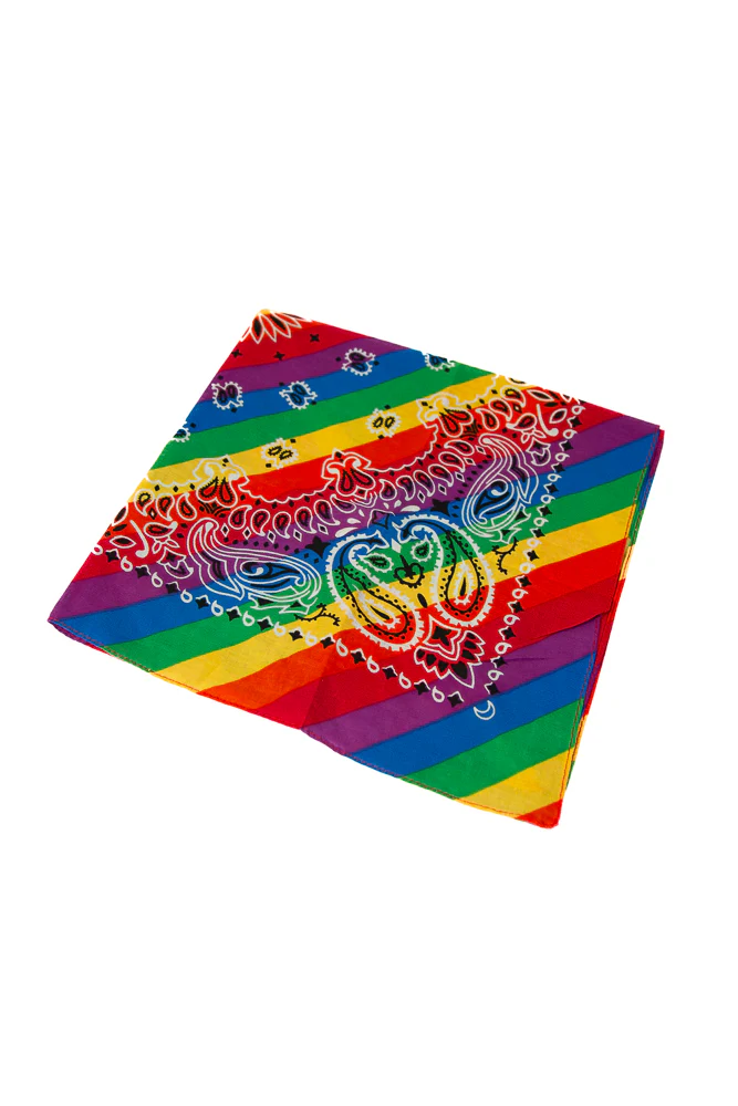 Stag Shop - Paisley Pride Bandana - Rainbow - Image 5