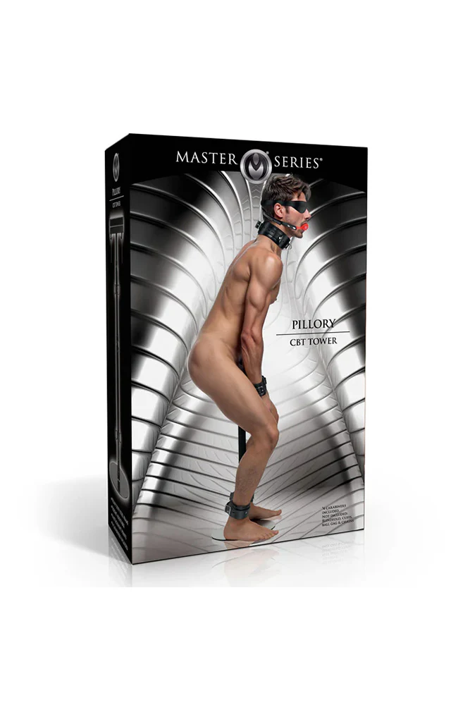 XR Brands - Master Series - Pillory CBT Tower - Image 6