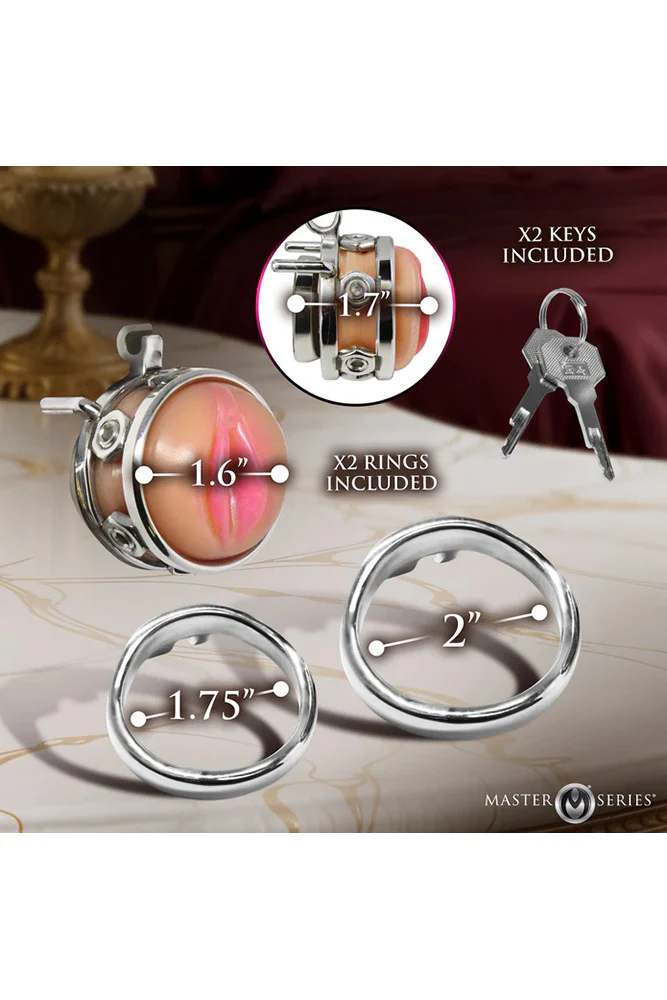 XR Brands - Master Series - Pussy Boy Metal Chastity Cage - Image 3