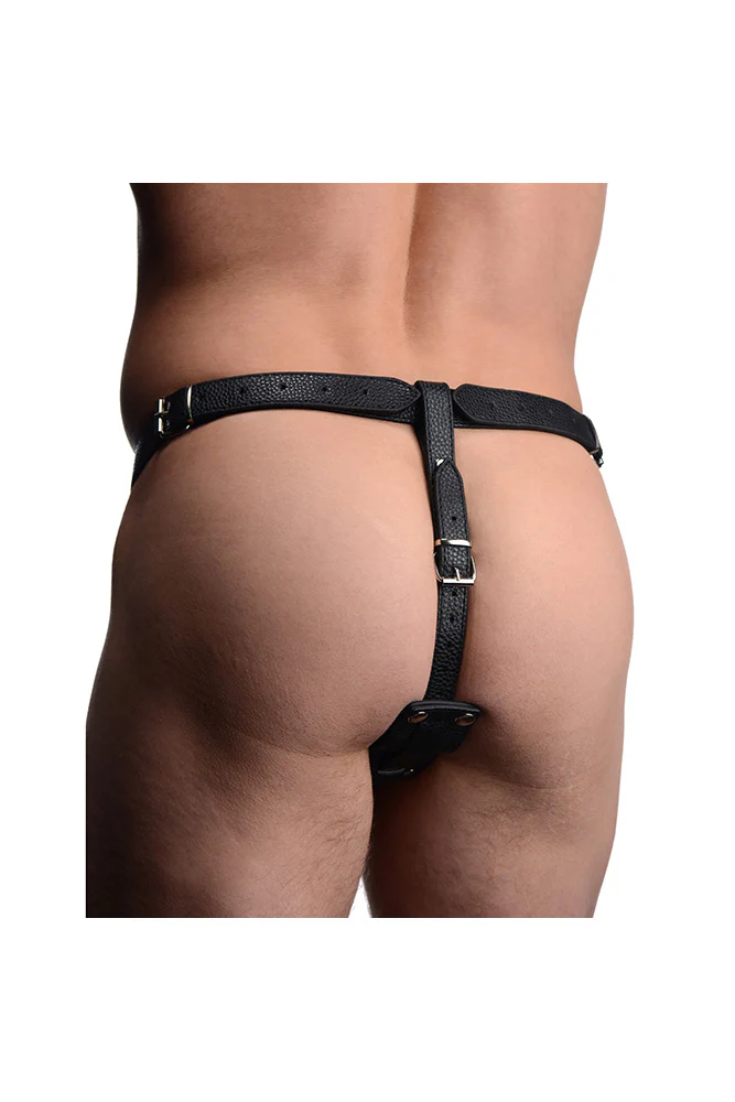 XR Brands - Strict - Cock Ring Harness with Silicone Anal Plug - Image 4