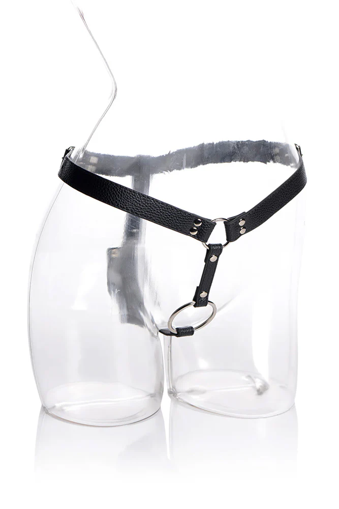 XR Brands - Strict - Cock Ring Harness with Silicone Anal Plug - Image 5